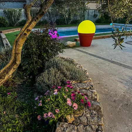 Le Petit Valexiane Piscine & Jardin Apartment Maillane Exterior photo