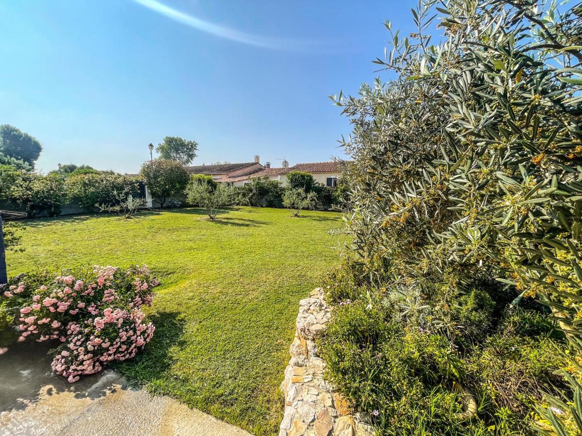 Le Petit Valexiane Piscine & Jardin Maillane